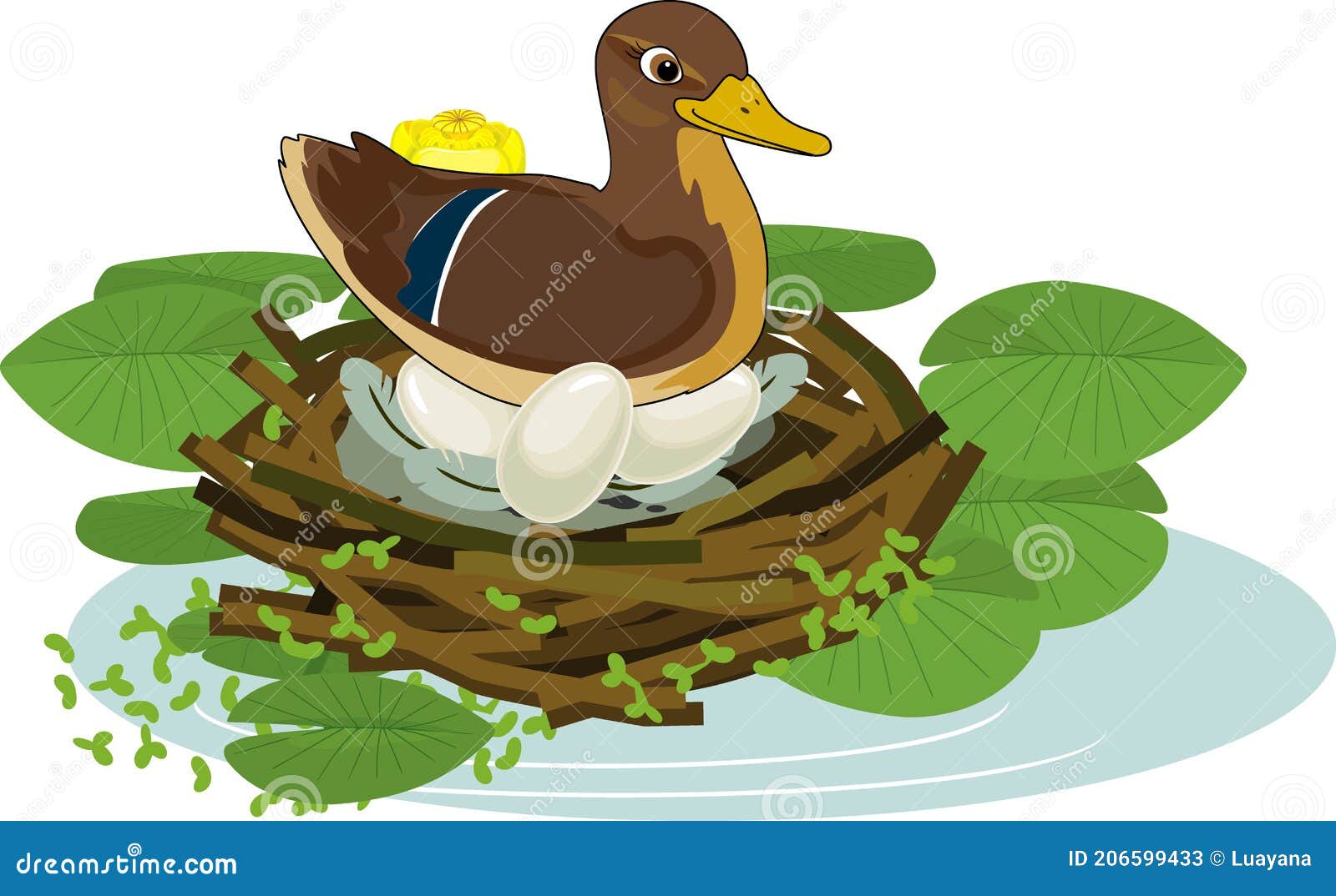 Duck Sits Stock Illustrations 41 Duck Sits Stock Illustrations Vectors Clipart Dreamstime