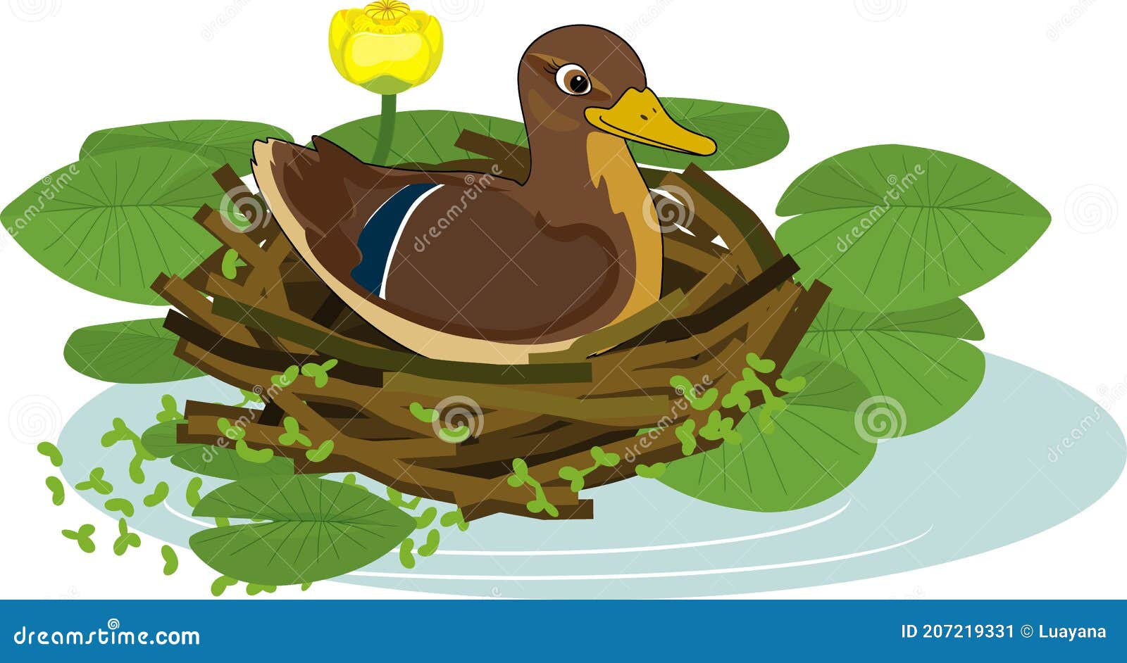 Duck Sits Stock Illustrations 41 Duck Sits Stock Illustrations Vectors Clipart Dreamstime