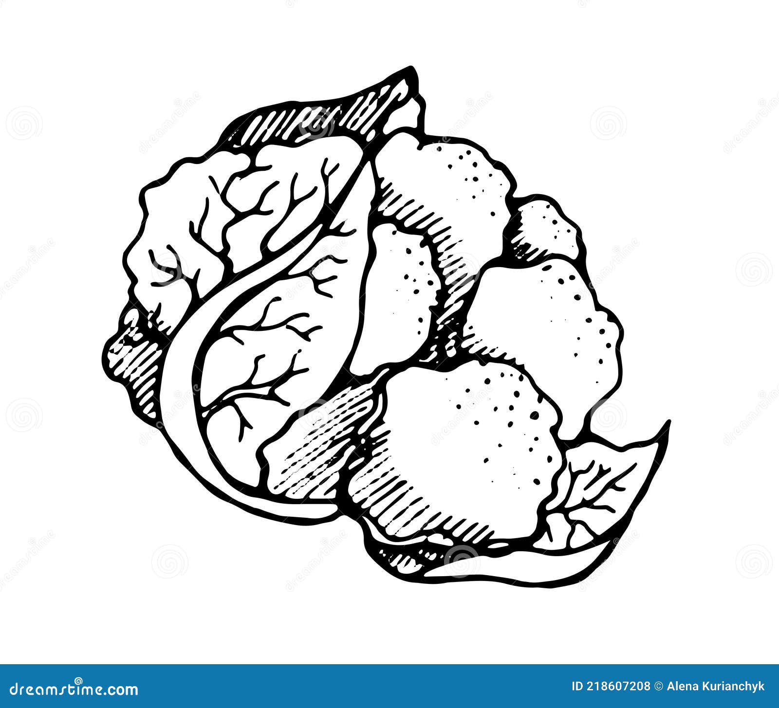 How to Draw Cauliflower🥦| Vegetable drawing for Kids | Cauliflower Art for  Kids | Art Gallery - YouTube