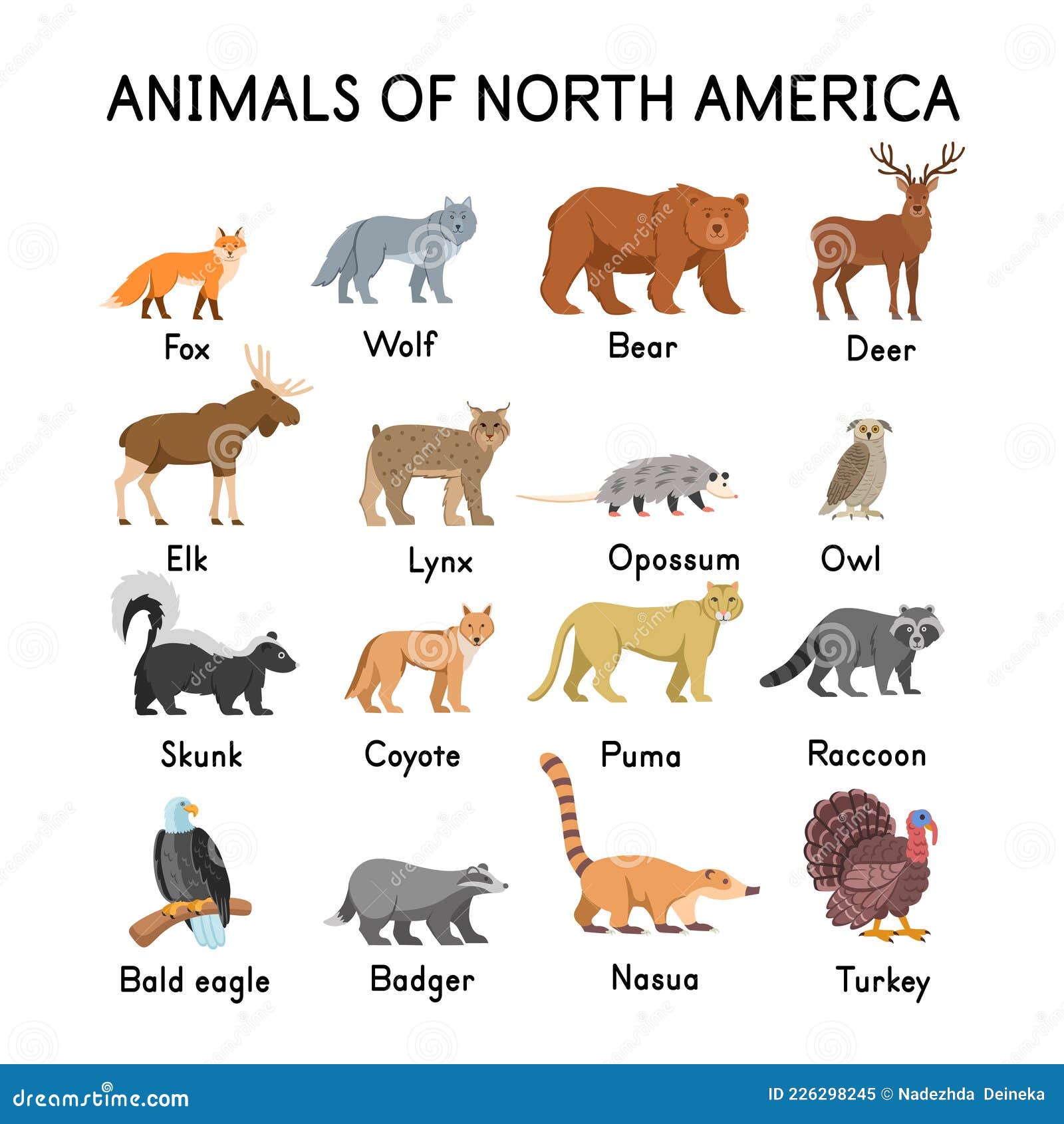 Animals of North America on a White  Cartoon Illustration  for Kids Stock Vector - Illustration of cartoon, grizzly: 226298245