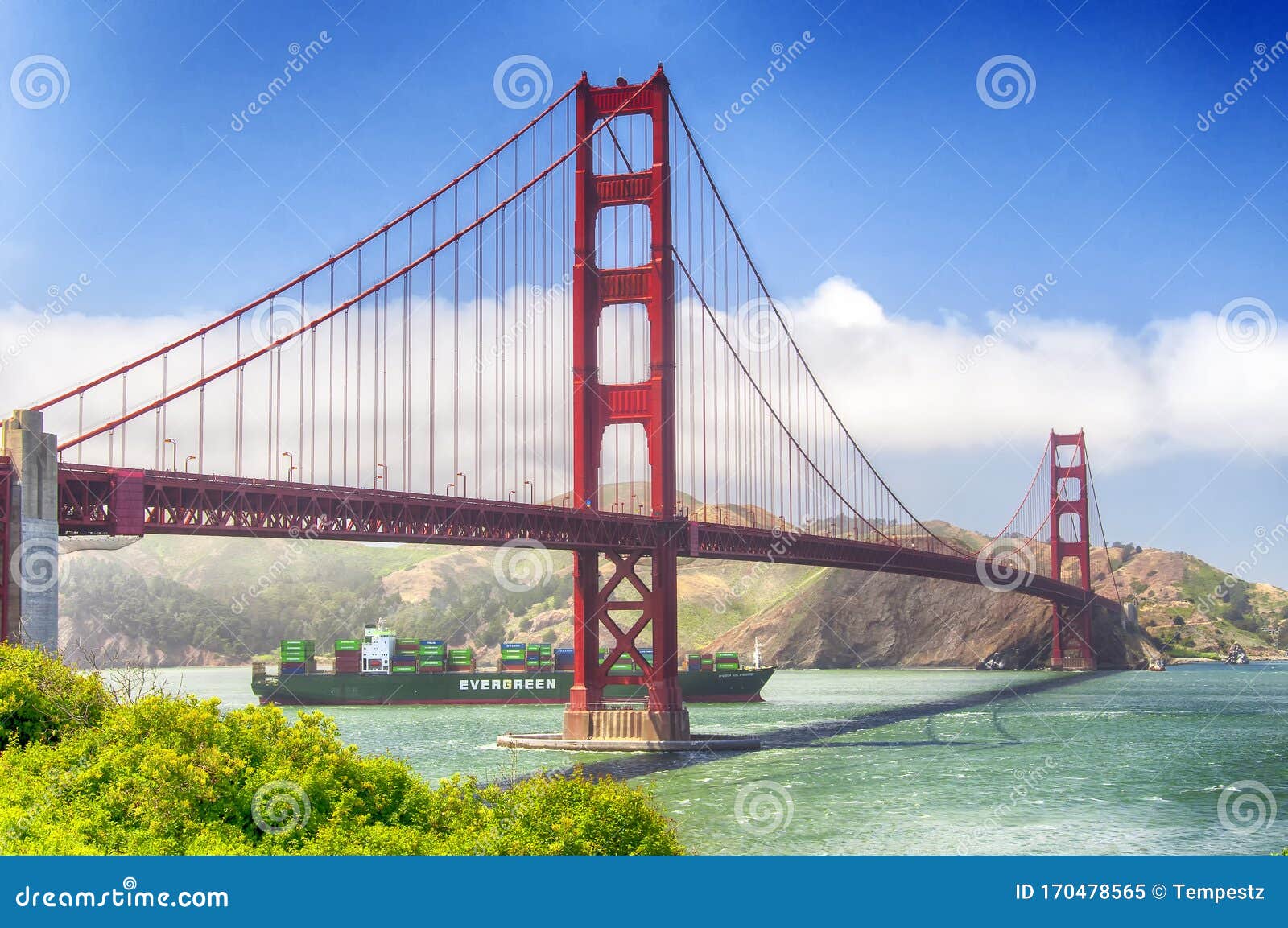 Дневные мост «золотые ворота» в Сан-Франциско, Калифорния Редакционное Изображение - изображение насчитывающей вечнозеленый, структура: 170478565