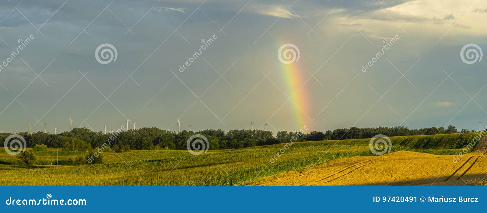 Дождь лета и радуга над полем, поздним летом на полях в Германии в утре  Стоковое Изображение - изображение насчитывающей цветасто, поздно: 97420491