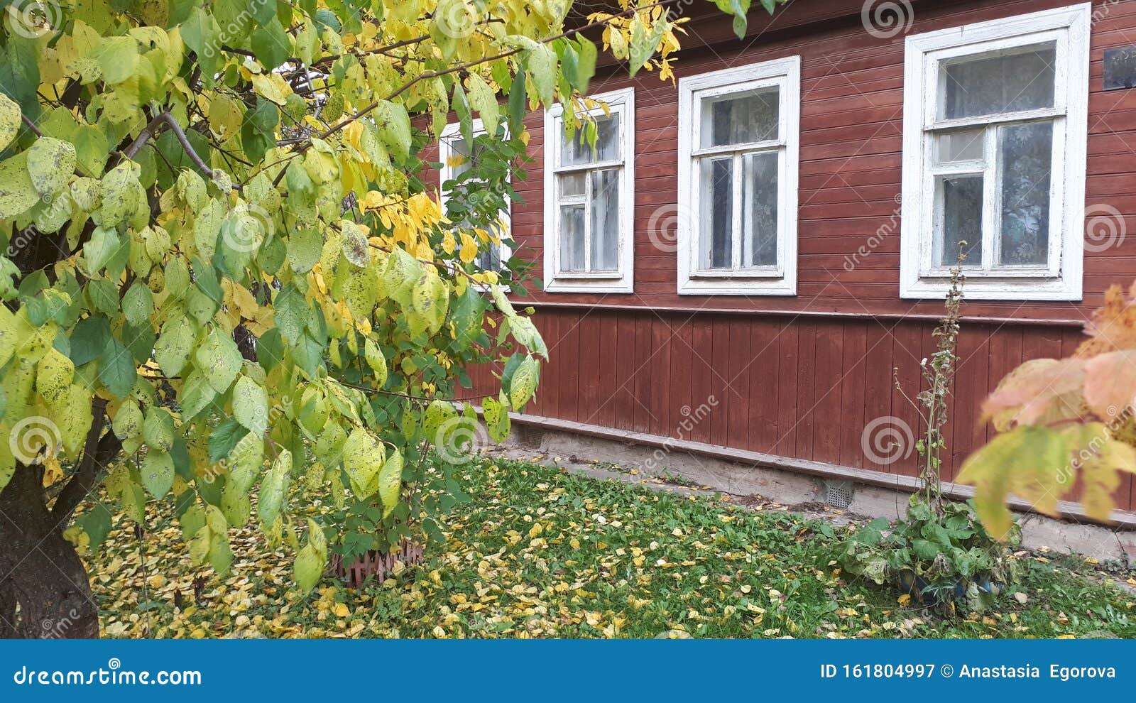 Фото Осенний Пейзаж В Деревне