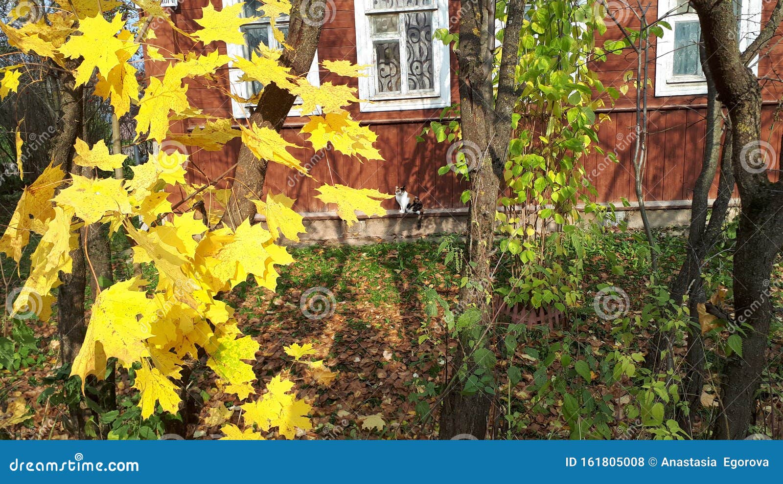 Фото Осенний Пейзаж В Деревне