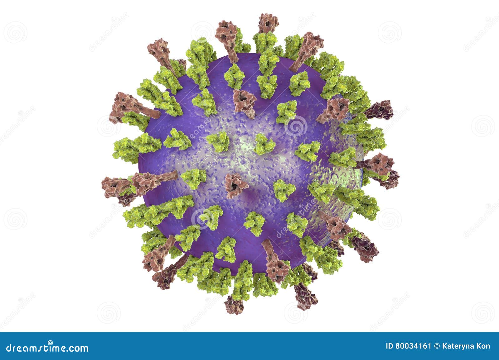 Syncytial virus