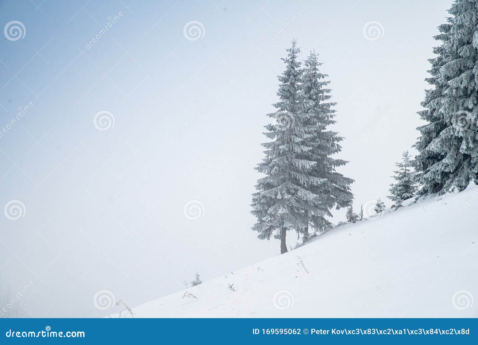 Фото Зима Высокое Качество