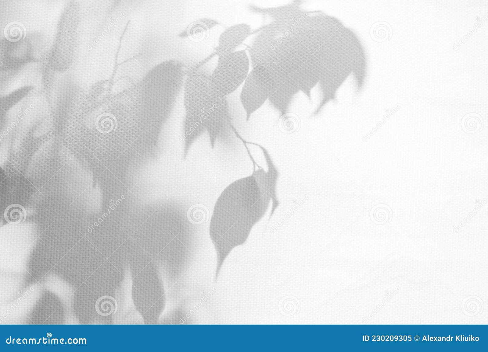 естественный узор с тенями. абстрактный серый фон тени от естественной ветки листьев, падающей на белую стену Стоковое Изображение - изображение насчитывающей художничества, экстерьер: 230209305