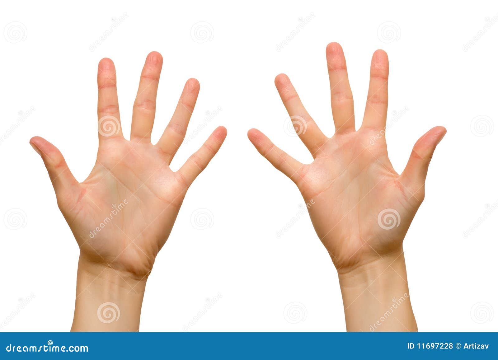 Без ладони. Женские руки правая и левая. Левая рука ребенка. Ладони сверху и снизу. 10 См на пальцах.