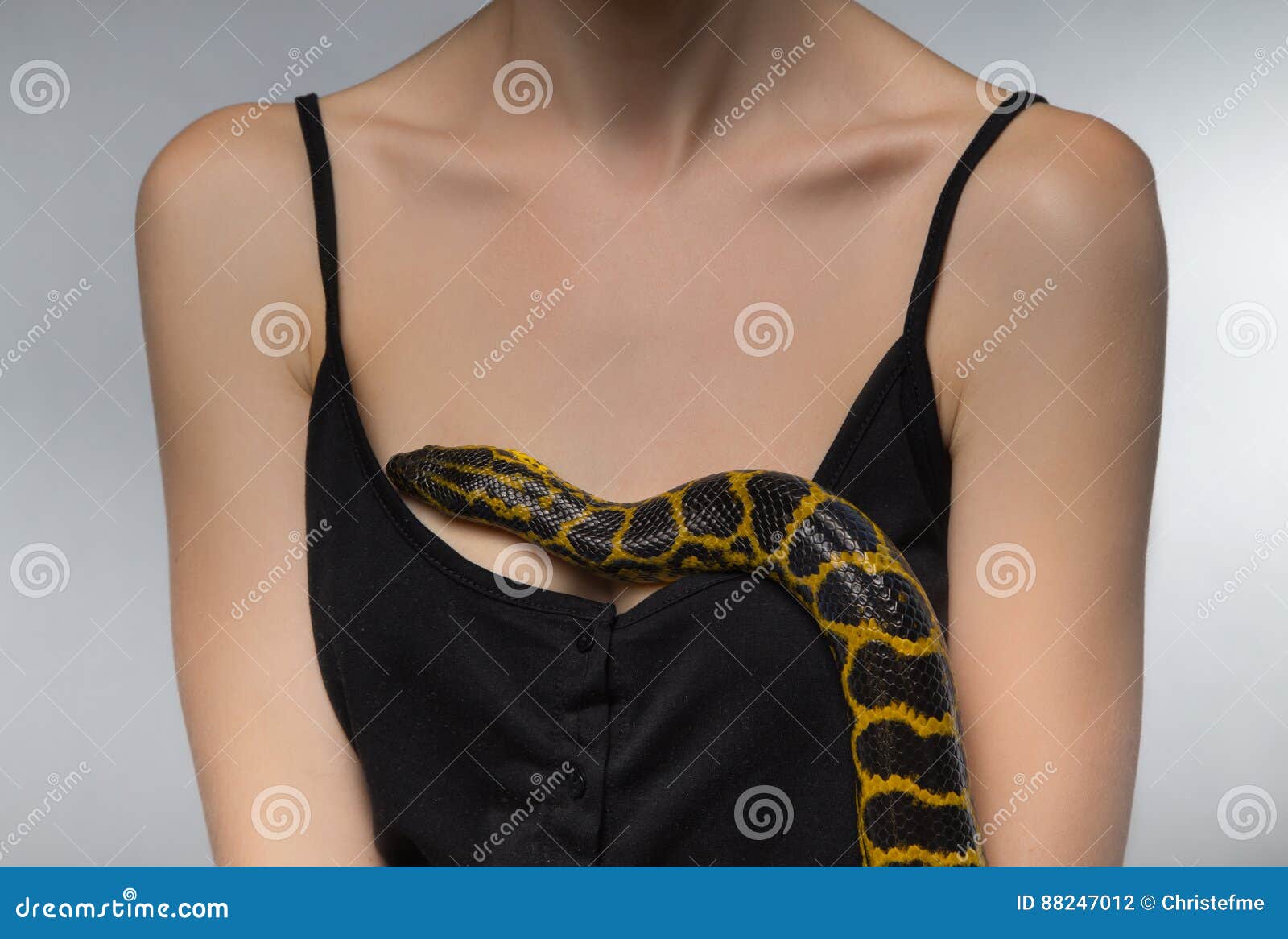картинки змея пригретая на груди (120) фото