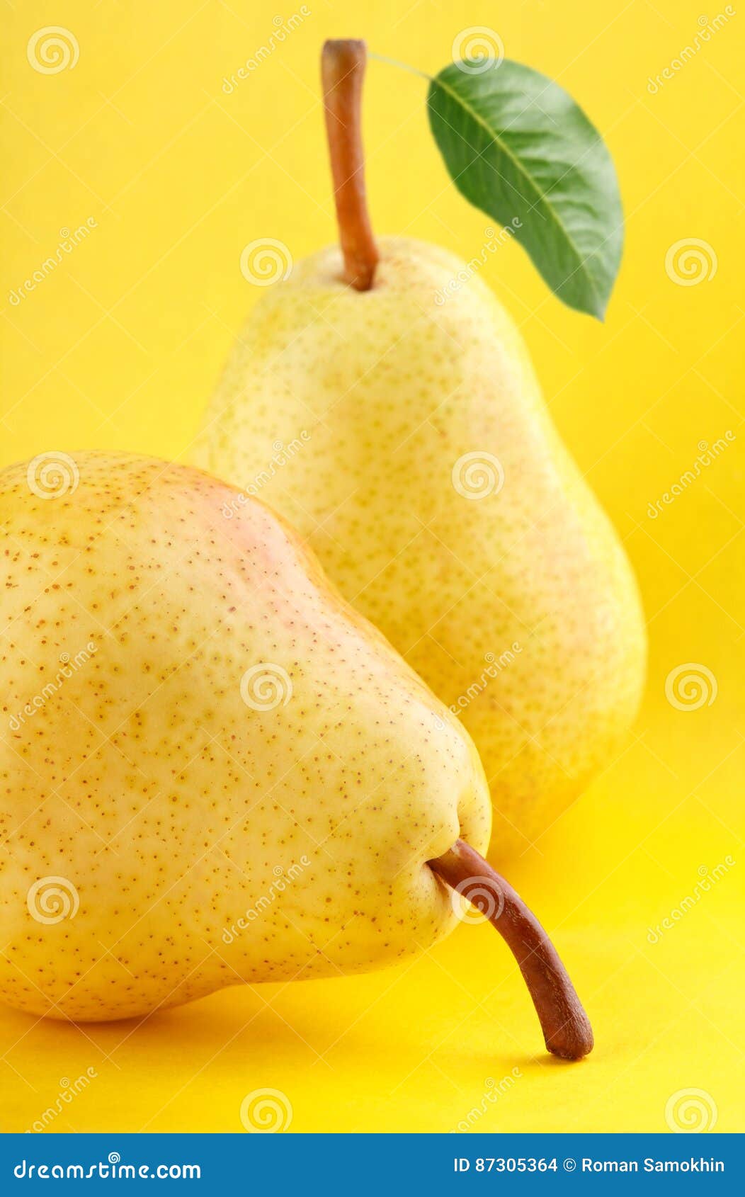 Сметанная груша фрукт. Груша желтый лист. Жёлтые пятна на листьях груши. Желтые пятна нал ст ых груш. Жёлтые пятна на листьях груши.