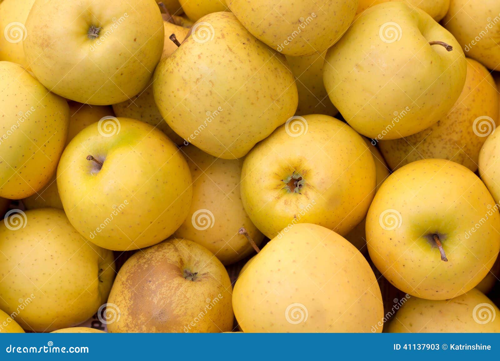 Почему яблоко желтое. Яблоки желтые. Мягкие маленькие желтые яблоки. Желтые яблоки россыпью.