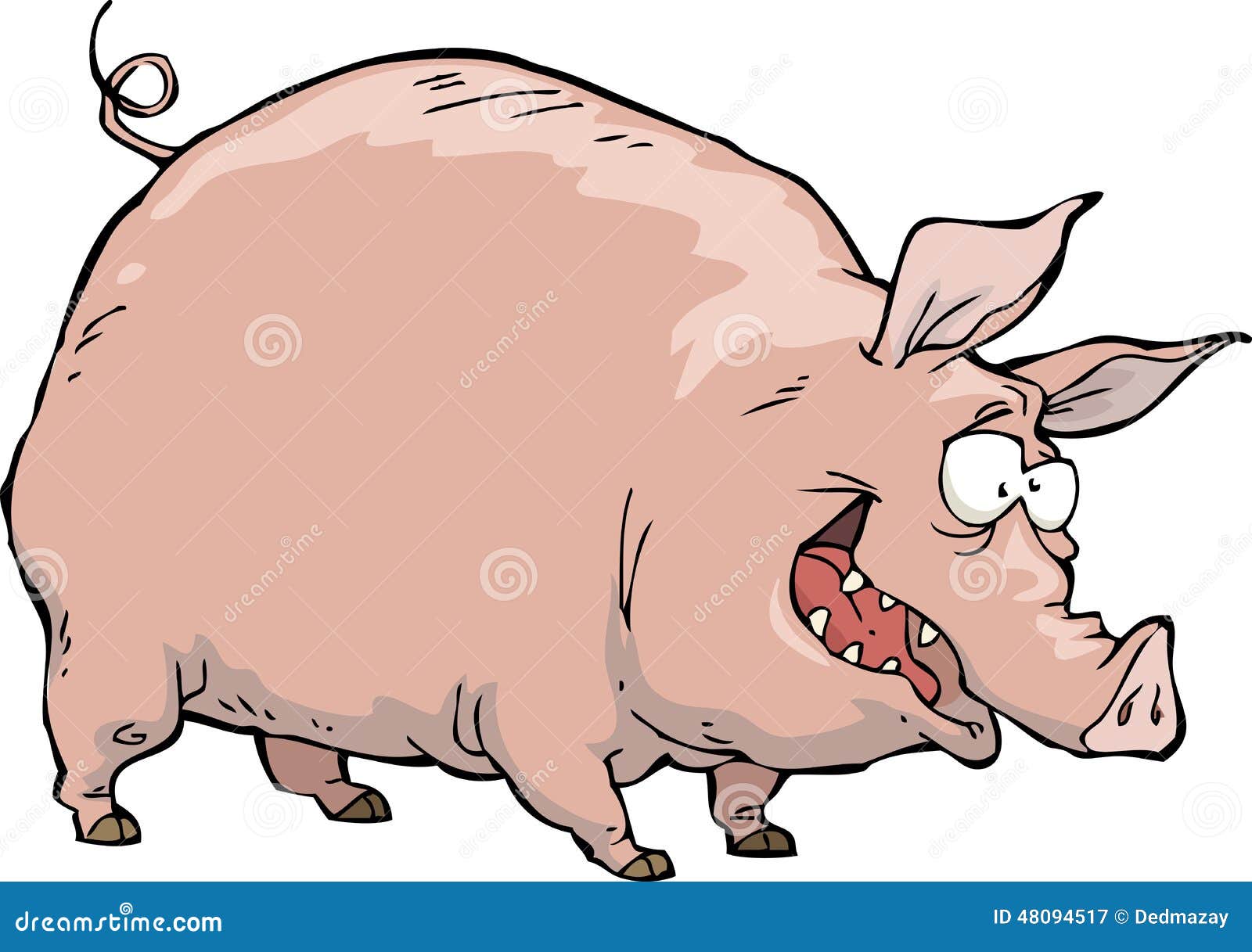 Свиньи кричащие. Поросенок мультяшный. Злая свинья. Наглая свинья. Свинья на белом фоне.