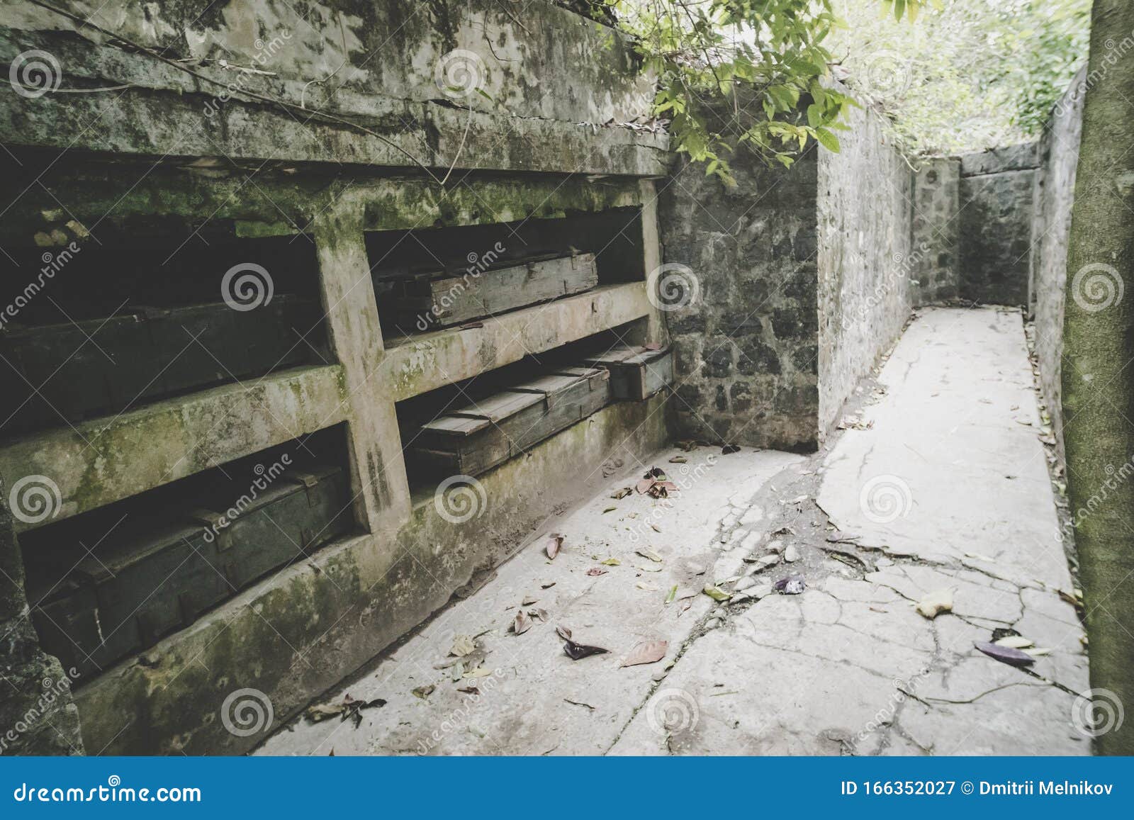 Залив Фото В Интернет