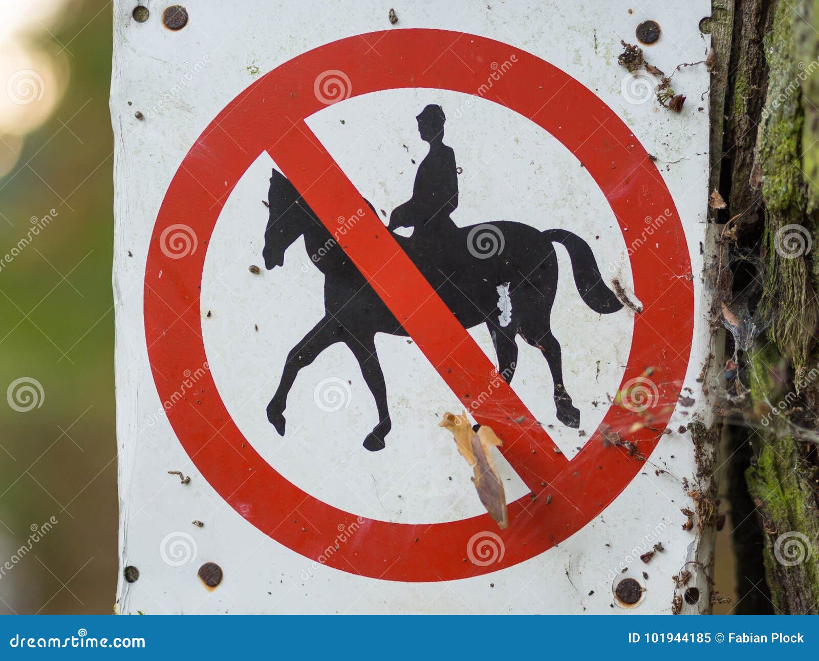 Что запрещено в конном спорте. Конный спорт запрещено таблички. Езда запрещена в шахте. Forbidden Forest sign.