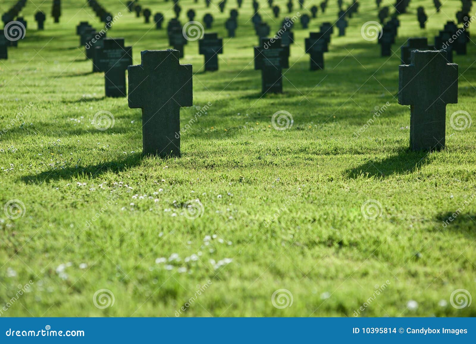 Как избавиться от травы на кладбище. Трава на кладбище. Зеленая травка на кладбище. Кладбище в зеленой траве. Кладбищенская трава.