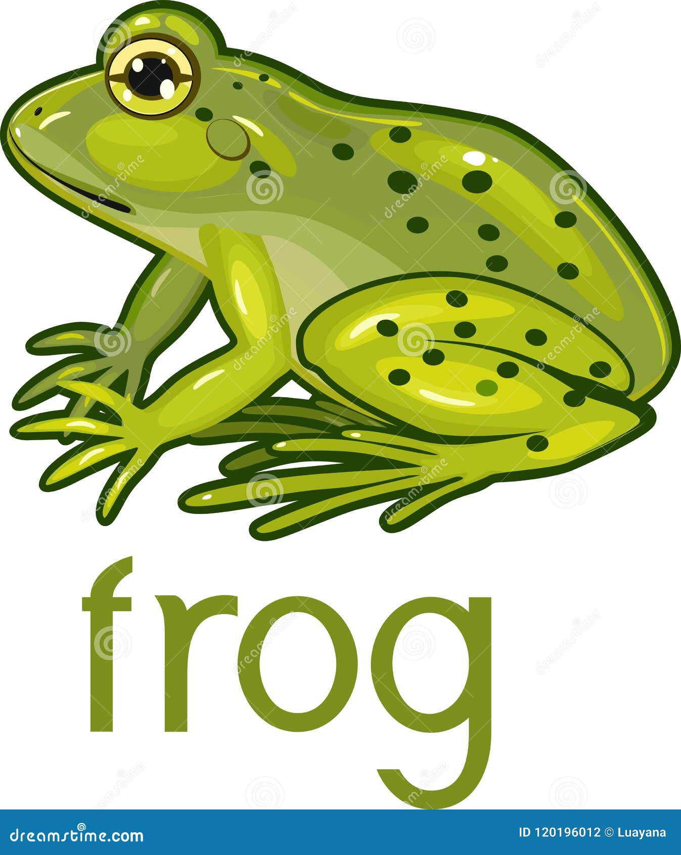 Английские слова лягушка. Слово Frog. Карточка Frog. Карточки по английскому Frog. Лягушка Frog карточка.