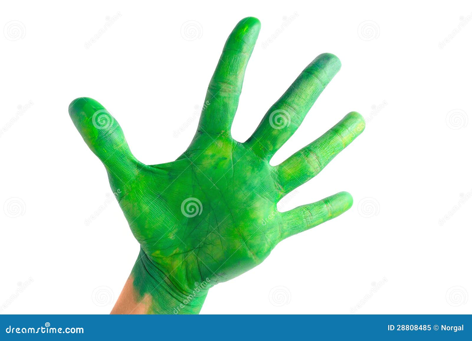 Правая рука зеленая. Зеленая рука. Зеленые ладошки. Ладошка зеленого цвета. Зеленая ладошка на белом фоне.