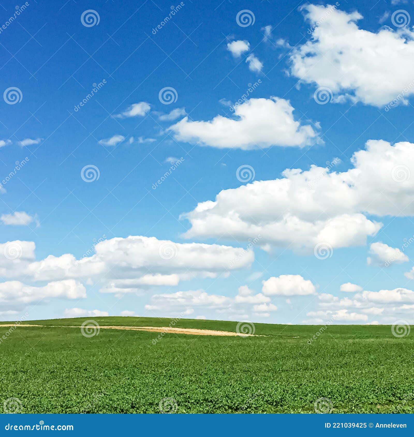 зеленое поле и голубое небо с облаками красивый луг как природа и экологический фон Стоковое Изображение - изображение насчитывающей идиллично, органическо: 221039425