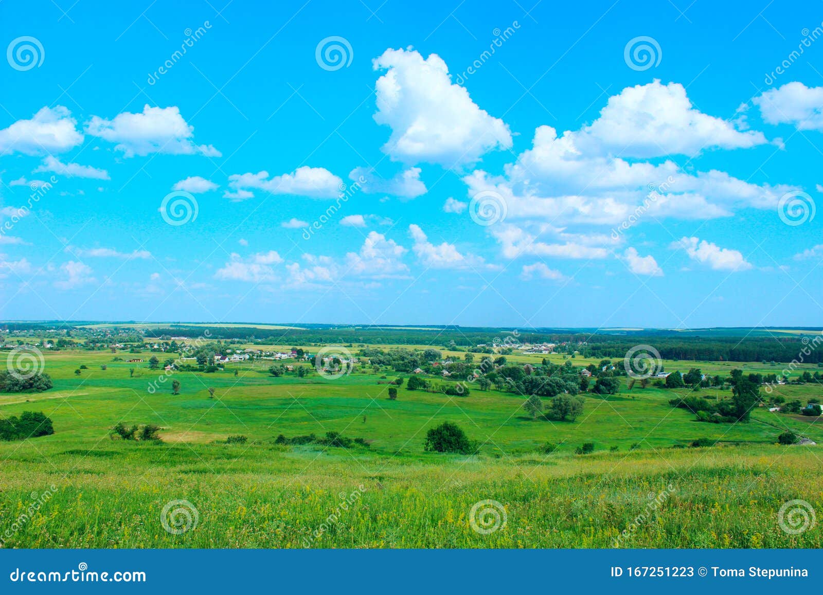 Зеленое поле и фон голубого неба На фоне природы Стоковое Изображение - изображение насчитывающей поле, рост: 167251223