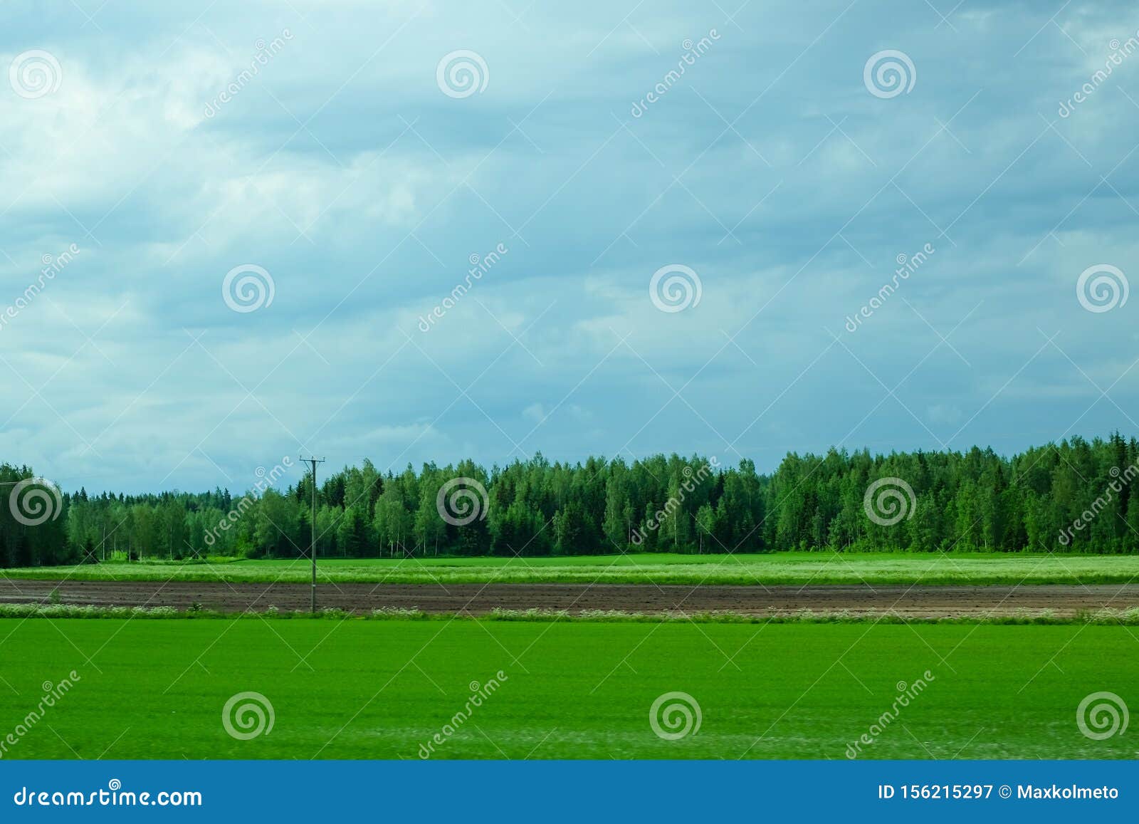 Зеленое поле и фон лесного хозяйства Стоковое Изображение - изображение насчитывающей злаковик, завод: 156215297