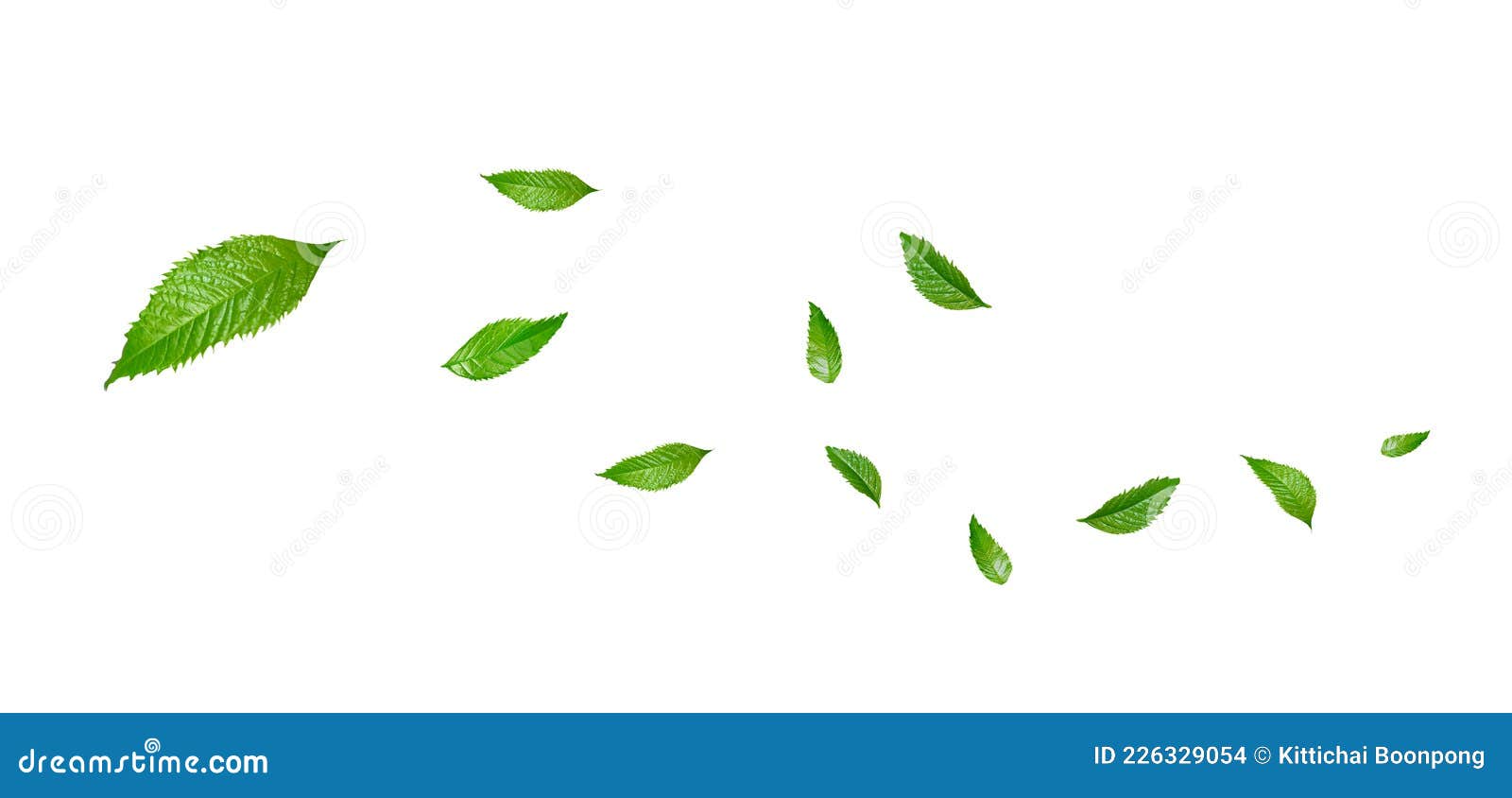 Летающие листья