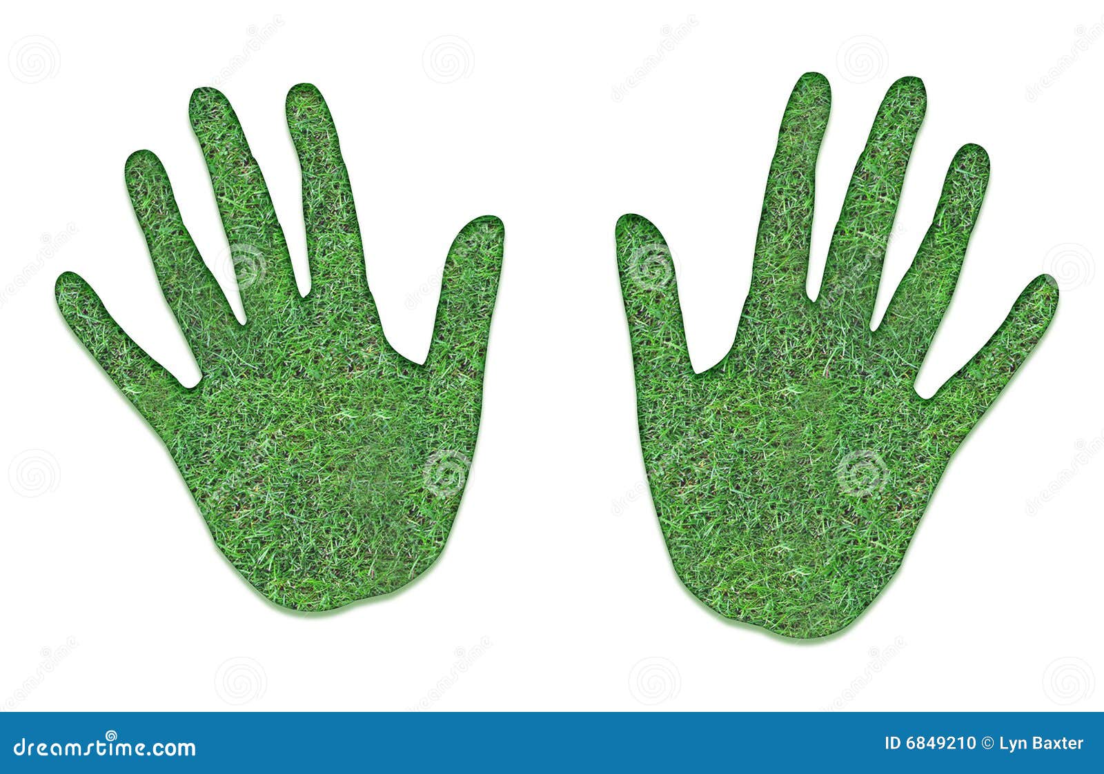 Правая рука зеленая. Зеленые ладошки. Ладошка зеленого цвета. Ладонь зеленого цвета. Детские ладошки зеленые.