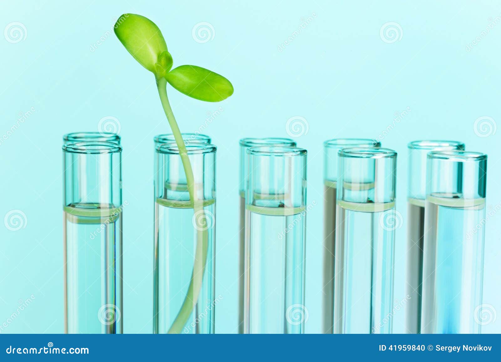 Газ в пробирке. Что наблюдается в пробирке. Контрольная пробирка. Клонирование пробирки. Что наблюдается в пробирке.