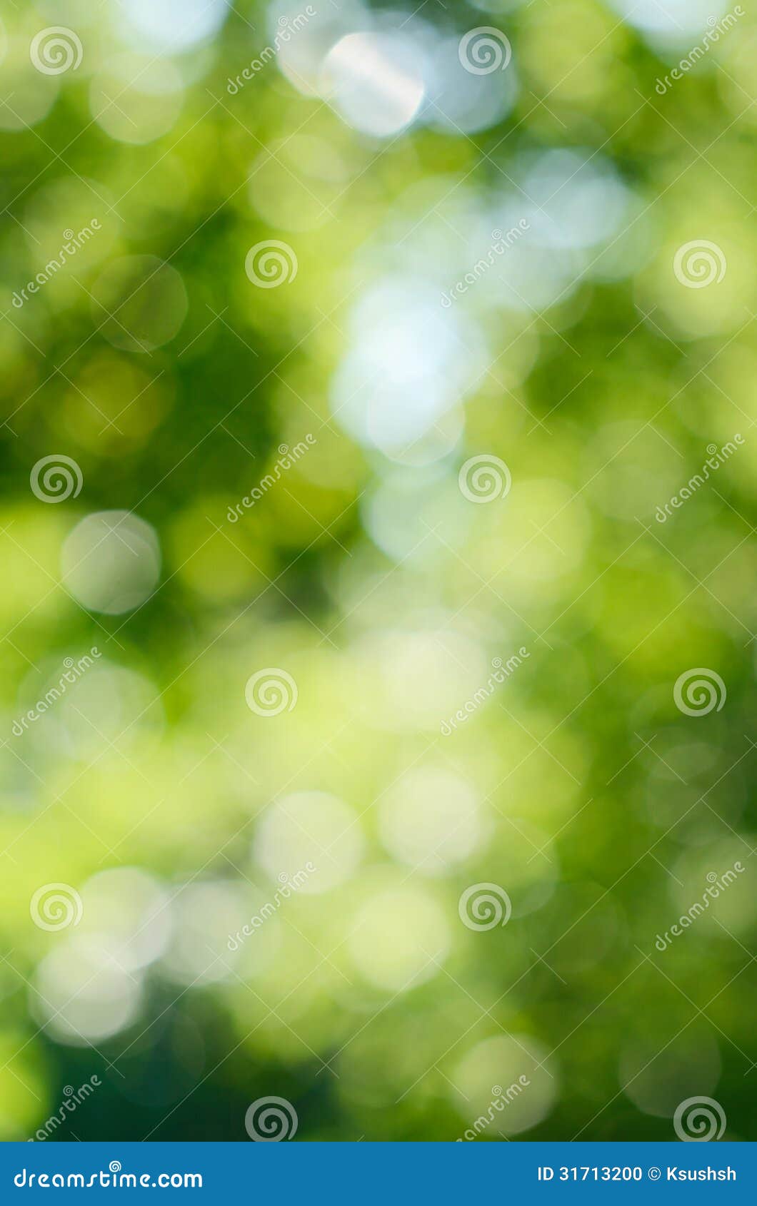 Фон зеленый размытый