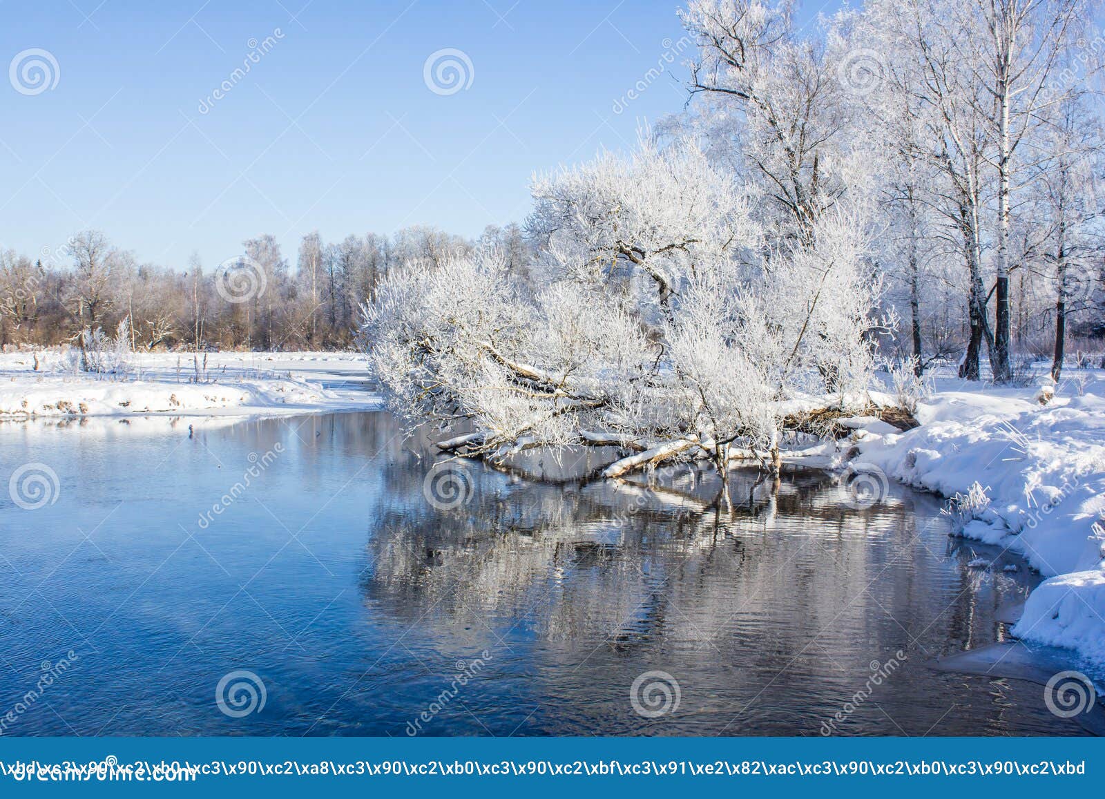 Зимний пейзаж в чистой погоде Доброе утро, солнце Снег играет блеск Снежный  парк Стоковое Изображение - изображение насчитывающей заморозок,  заволакивание: 132735321