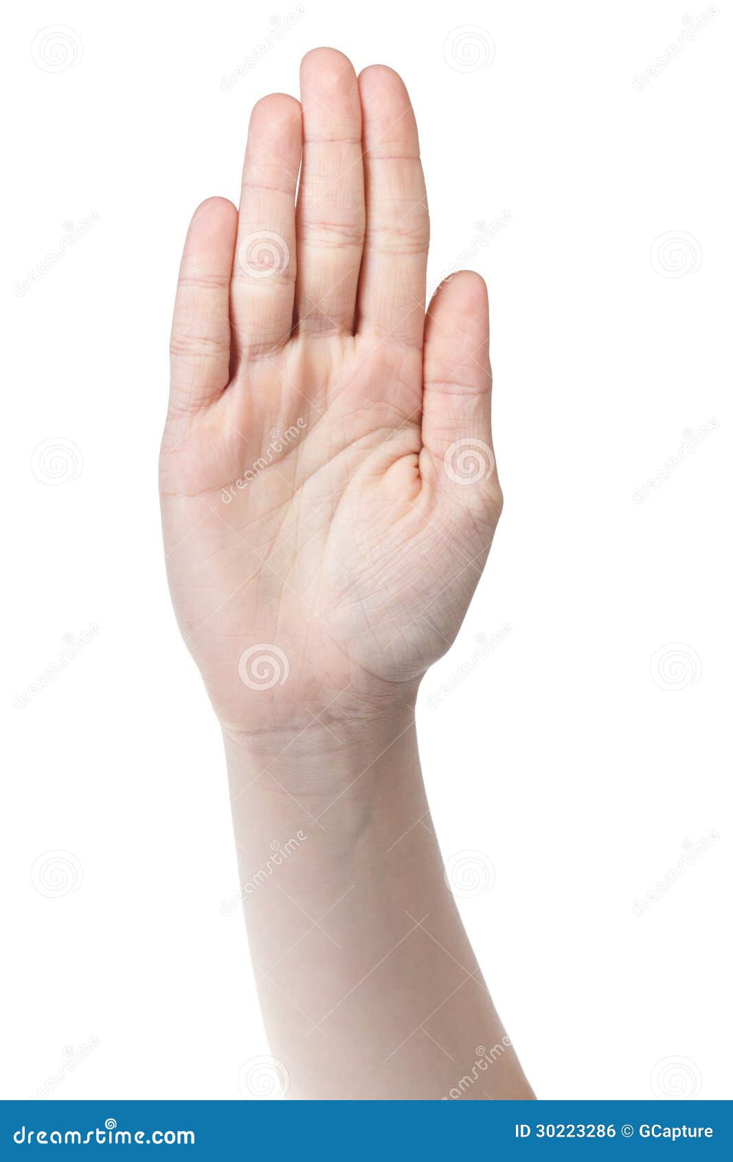 Поднятые вверх ладонями руки что означает. Держит на ладони. Человек с поднятой рукой. Ладонь вверх. Жест поднятая ладонь.