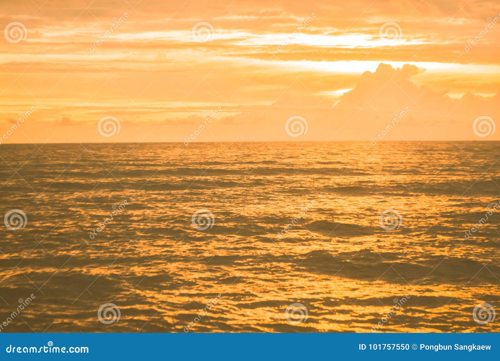 Золотое Море Фото Золотое Море Фото
