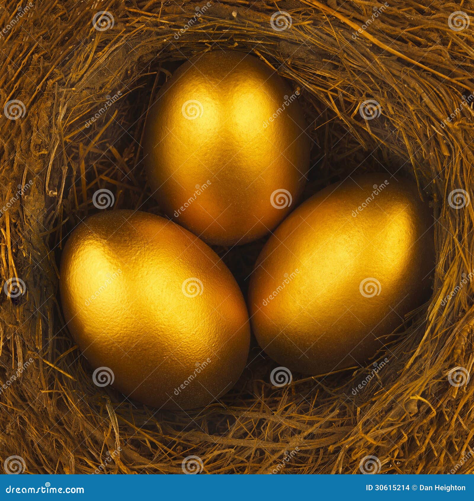 Найдите золотое яйцо. Золотое яйцо. Птица с золотыми яйцами. Гнездо с золотыми яйцами. Три золотых яйца.