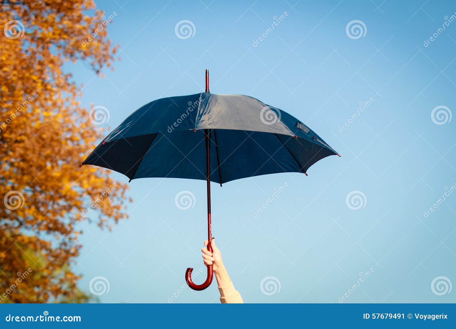 Зонтик раскрылся
