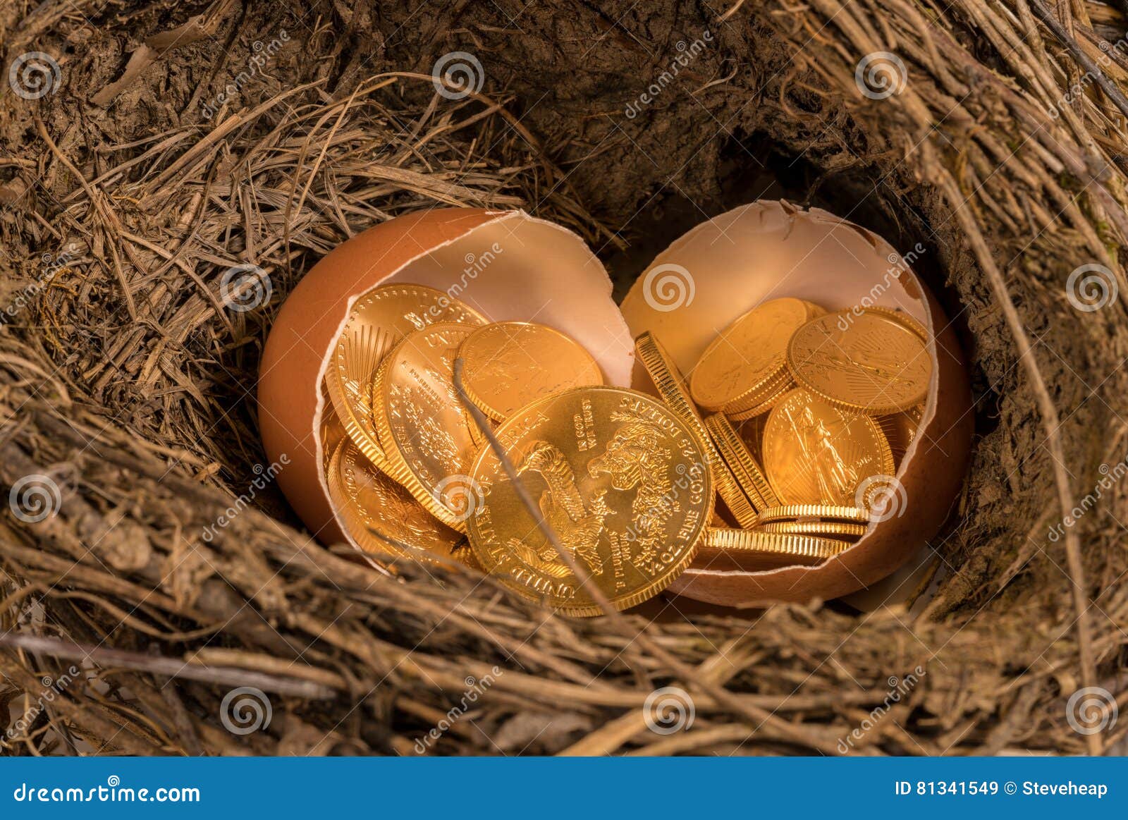 Gold bird s nest. Гнездо с золотыми яйцами. Золотое яйцо. Скорлупки золотые. Яйцо золото.