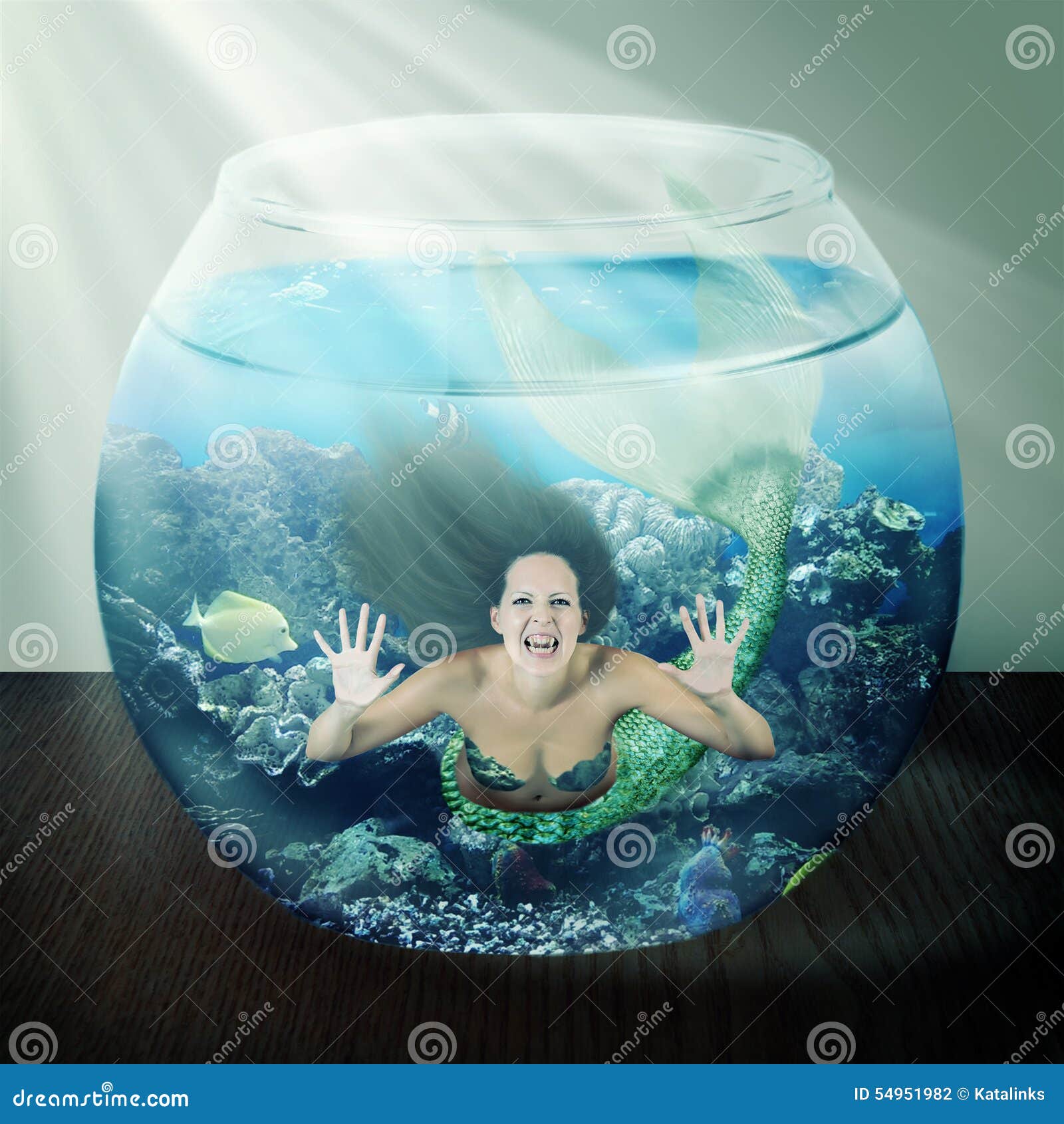 Злая русалка в Fishbowl с рыбами на таблице Стоковое Фото - изображение  насчитывающей подводно, волосы: 54951982