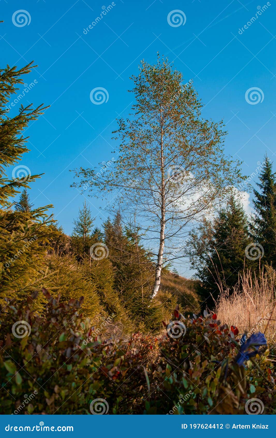Фото Природы Погоды Фото Природы Погоды