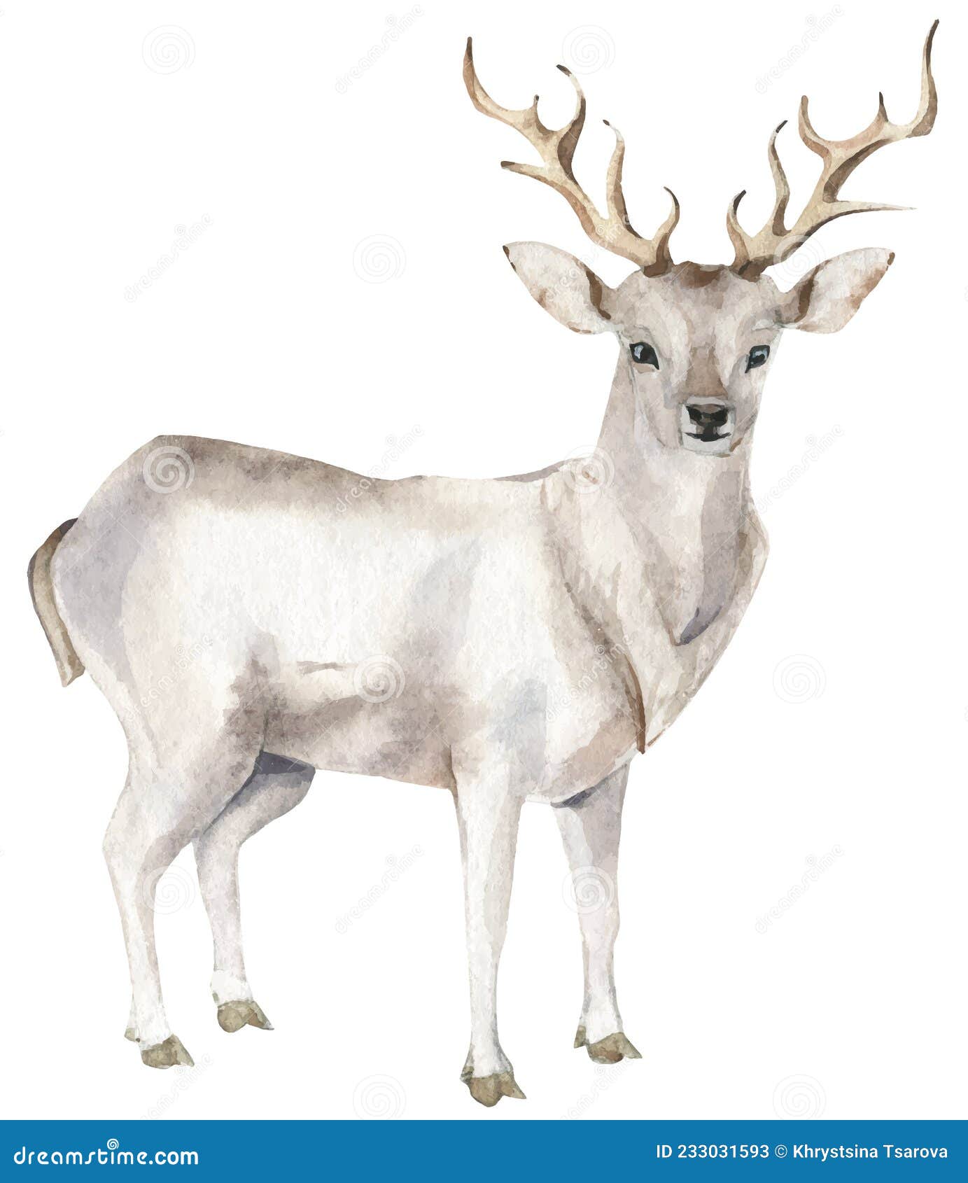 изолированный белый полярный олень. Иллюстрация вектора - иллюстрации  насчитывающей традиционно, предметы: 233031593