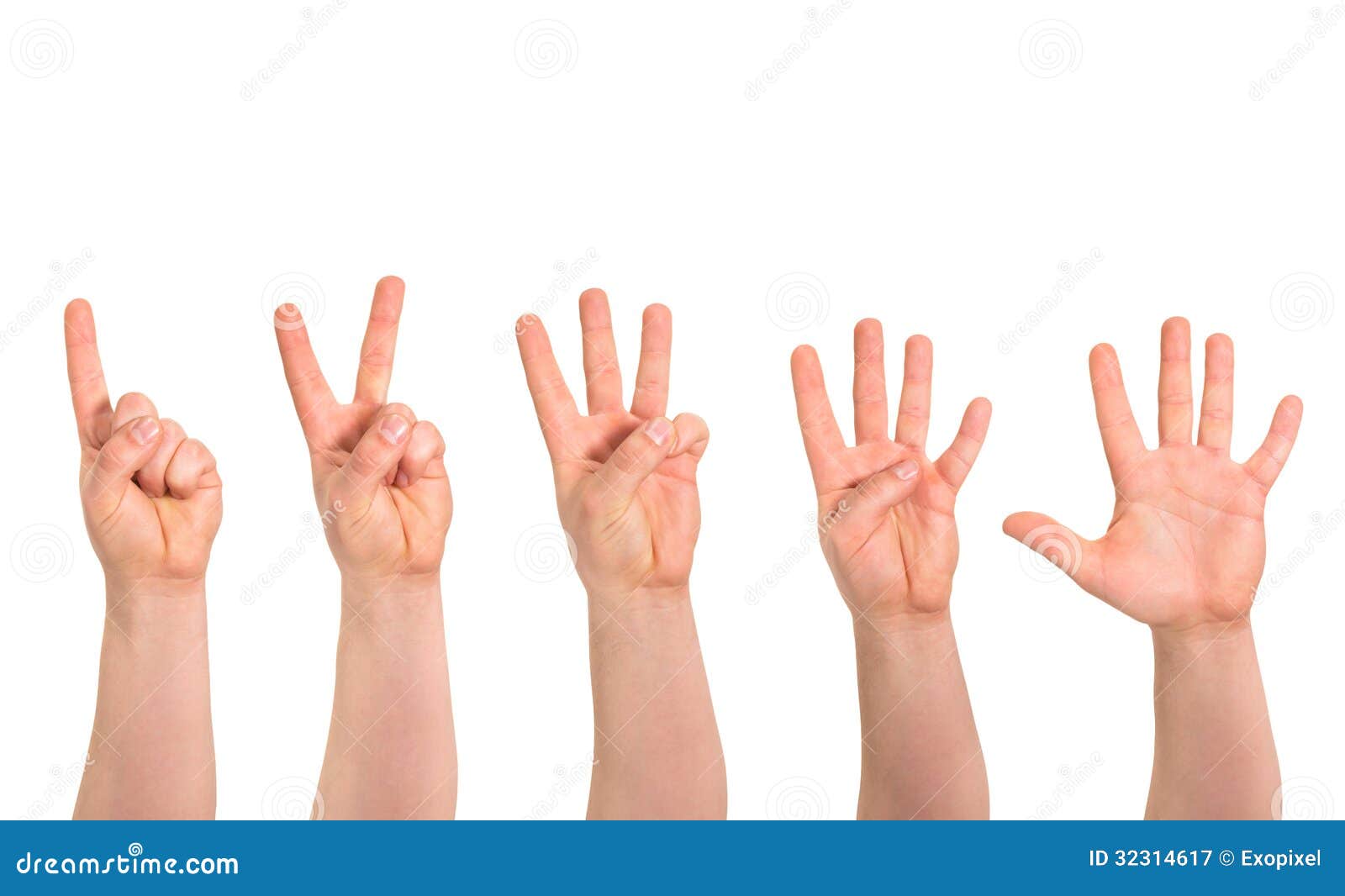 Рука пятерки. Пальчики на прозрачном фоне. Цифры на пальцах. Цифры на пальцах для детей. Жест руками пять пальцев.