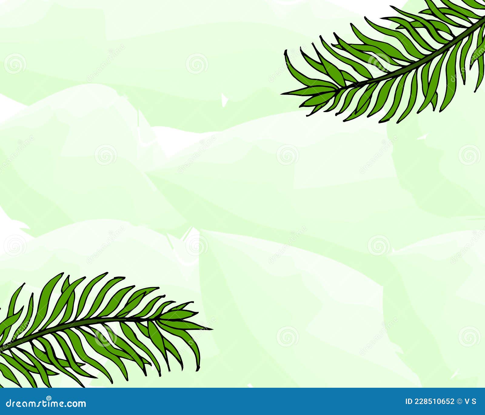 иллюстрация нежный светло-зеленый акварельный фон и пальмовые листья  Иллюстрация вектора - иллюстрации насчитывающей картины, шарж: 228510652