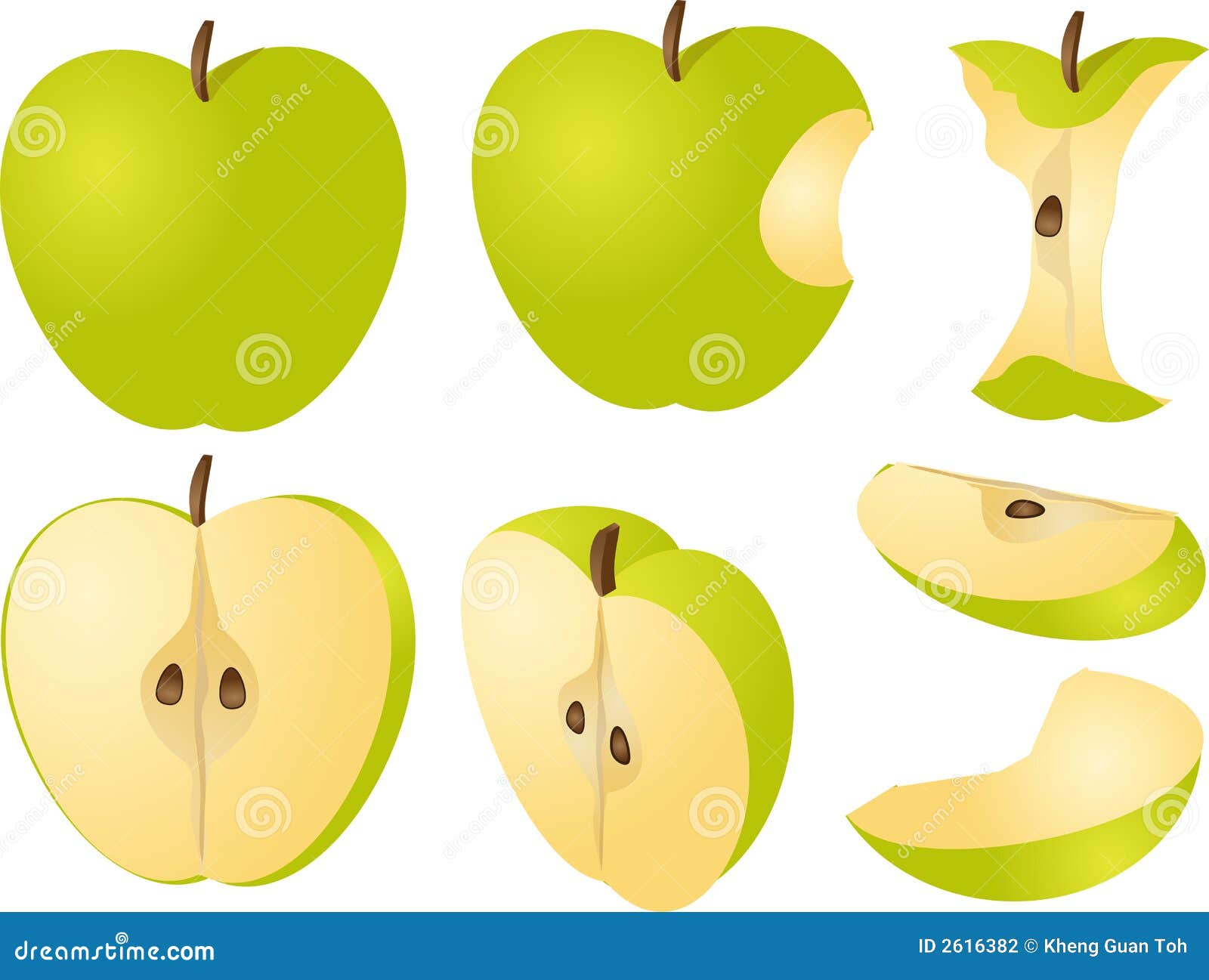 Две трети яблока. Яблоко в разрезе. Целое яблоко. Яблоко и его половинки. Долька яблока.