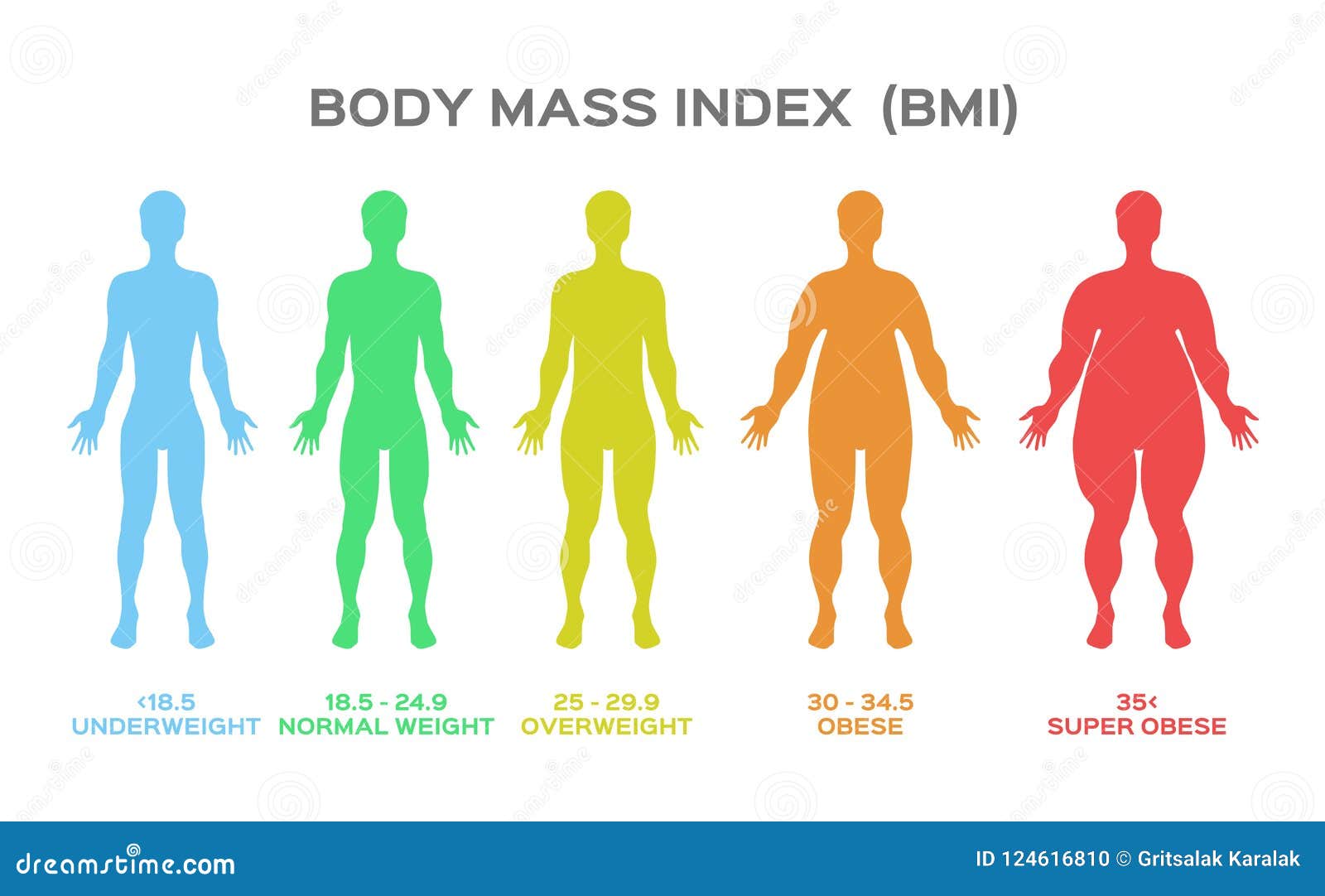 Индекс массы тела собаки. BMI. Индекс массы тела. Масса тела вектор. Боди масс индекс.