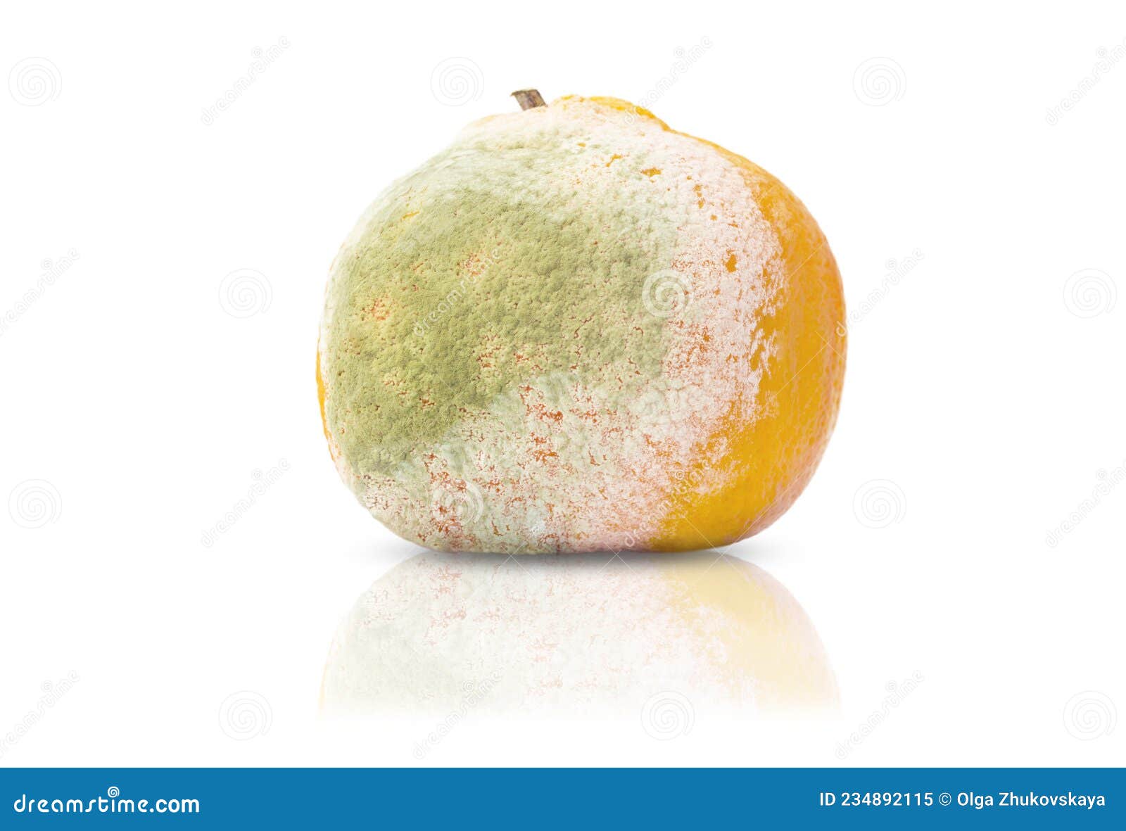 испорченный мандарин на белом фоне. гнилые люди Стоковое Изображение -  изображение насчитывающей цитрус, исчезано: 234892115