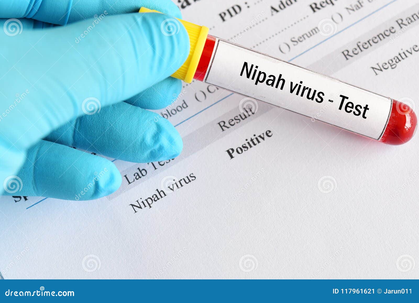 Virus тест