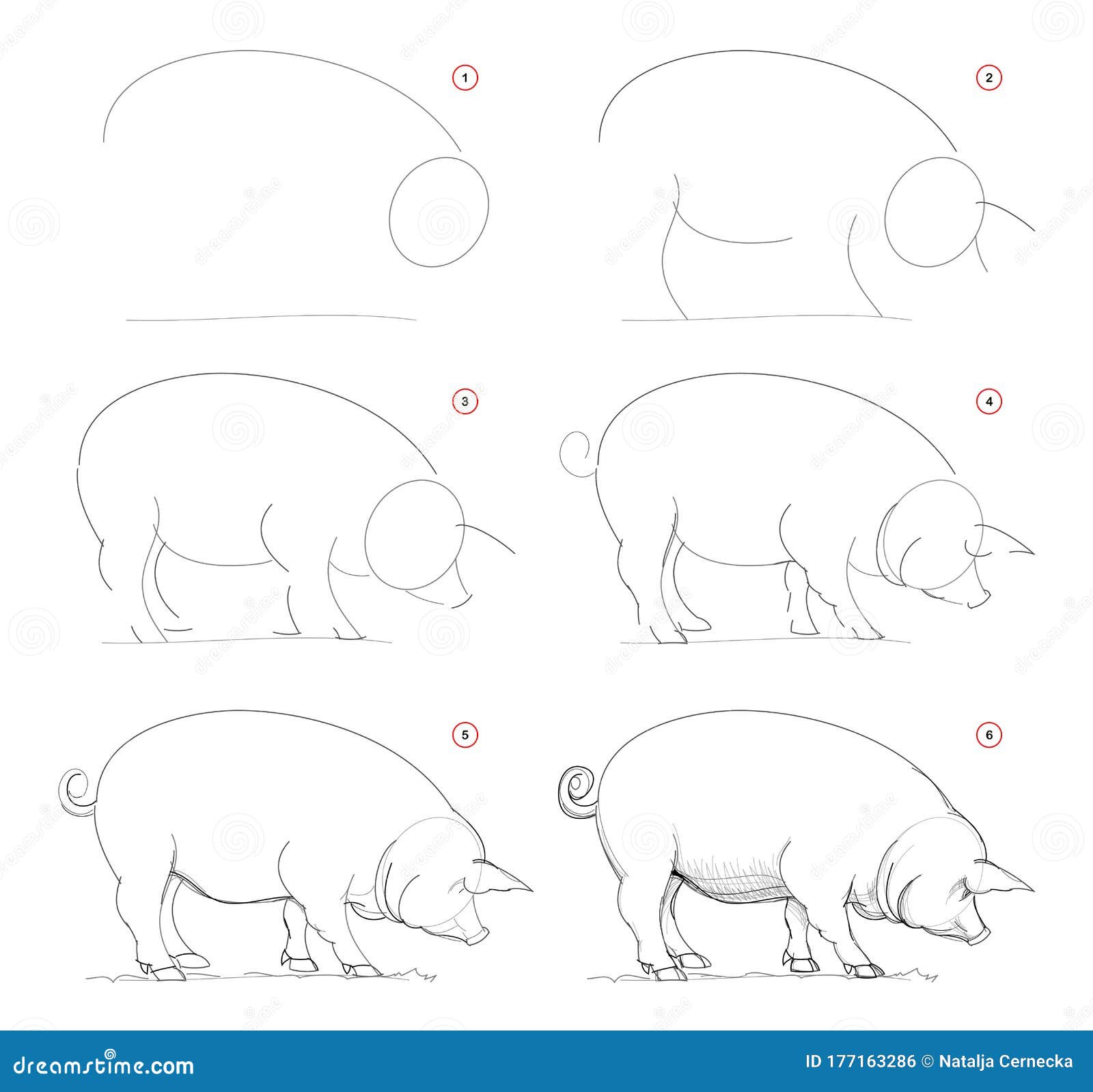 Нарисовать поросенка карандашом