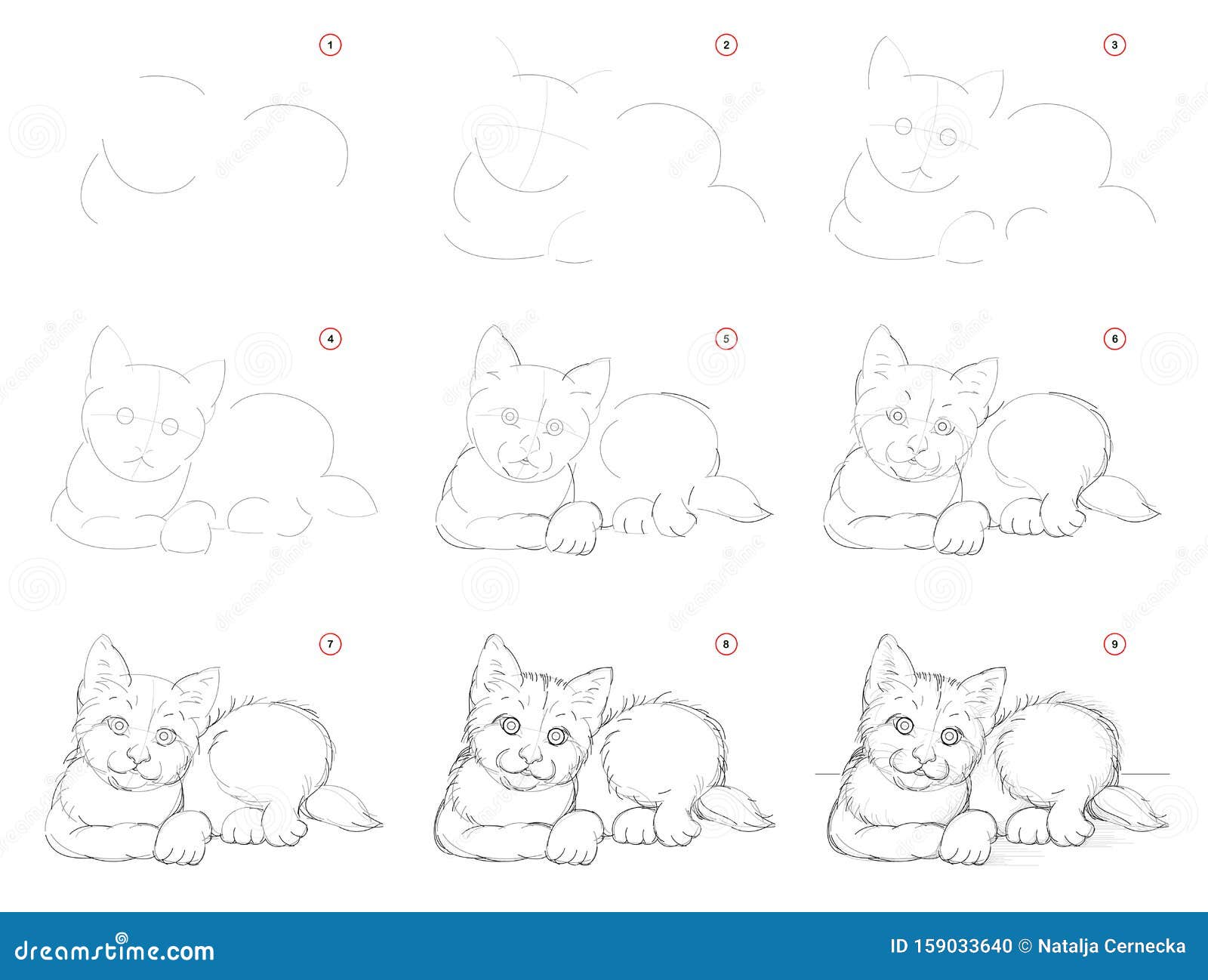 Как нарисовать пошаговый воображаемый эскиз милого маленького котенка  Создание пошагового рисования карандаша Страница по образов Иллюстрация  вектора - иллюстрации насчитывающей изображение, как: 159033640
