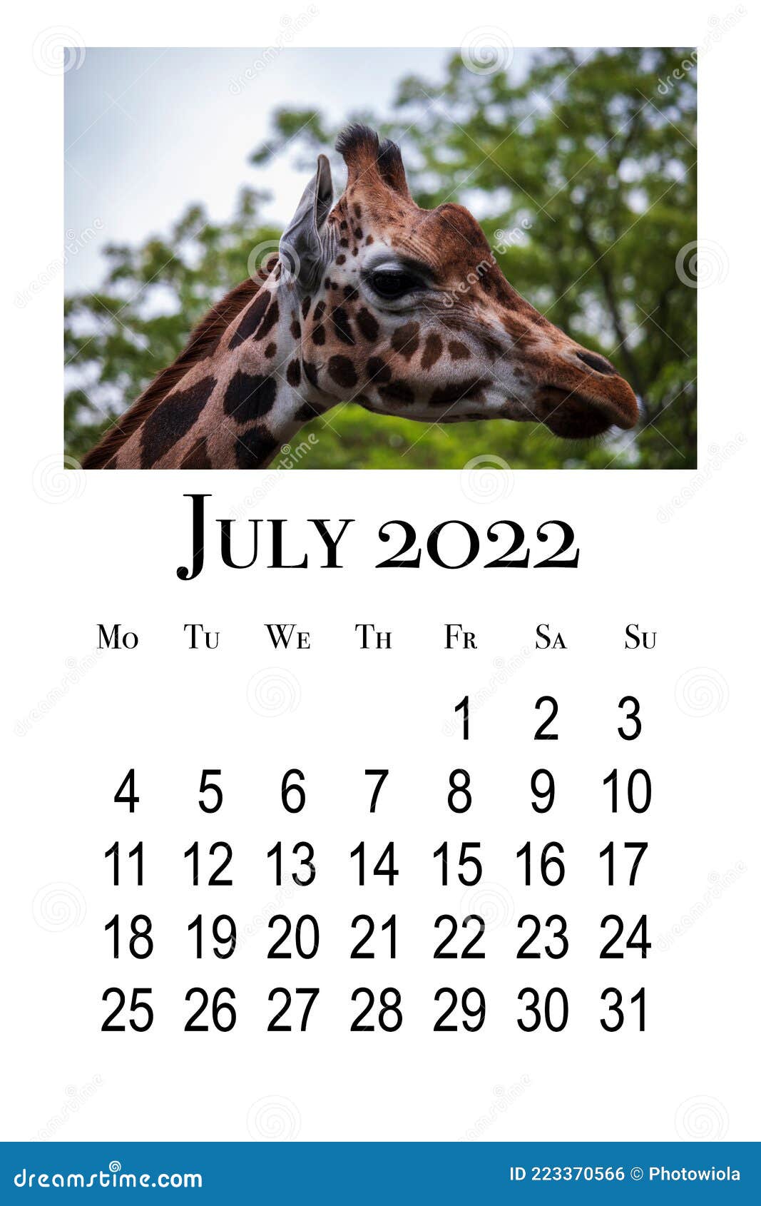 Июль 2022 Год Фото Июль 2022 Год Фото