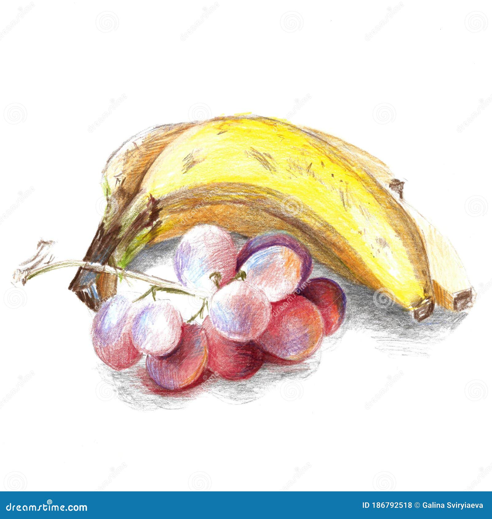 Карандаши руки банана и виноград вычерченные цветные иллюстрации  изолированной рисования на белом фоне Иллюстрация штока - иллюстрации  насчитывающей аграрным, здоровье: 186792518