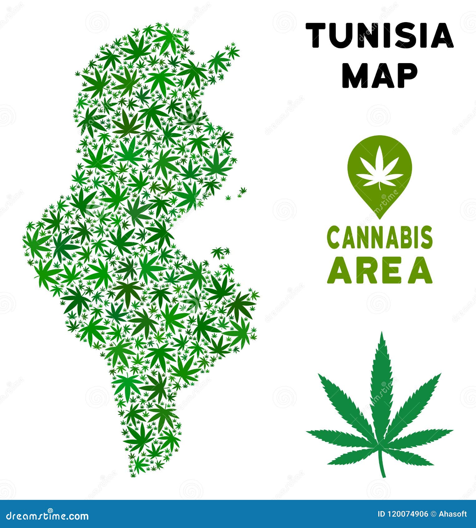 Конопля в тунисе мания преследования от наркотиков