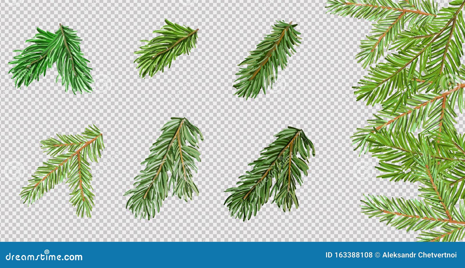 Кисть ветви сосны на прозрачном фоне Элемент для создания Рождества или  Нового года иллюстрация вектора для вашего Иллюстрация вектора -  иллюстрации насчитывающей декор, ель: 163388108