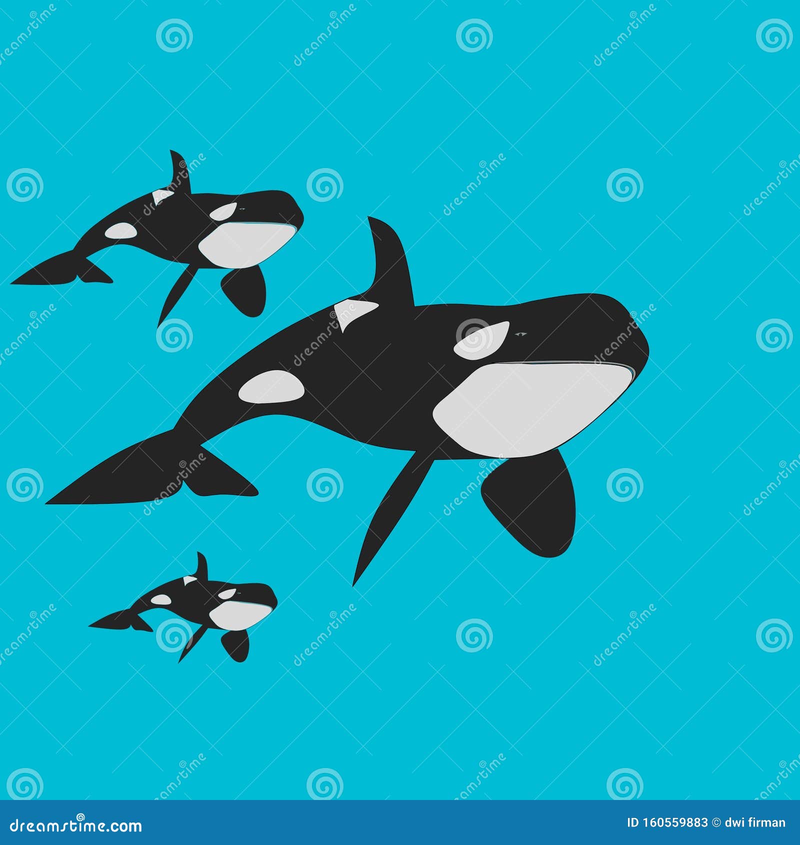 Кит-убийца с маленьким кит-убийцей на синем фоне Иллюстрация штока -  иллюстрации насчитывающей мало, убийца: 160559883